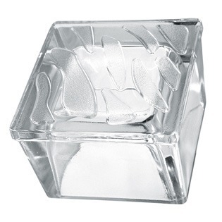 pavé végétal en verre
